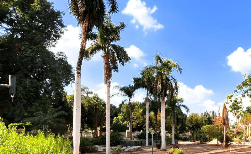 Masalla Heritage Garden in Zamalek Reopens After Restoration
