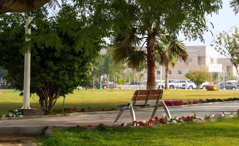 More Than 14,000 Trees & Seedlings Planted in Qassim Region