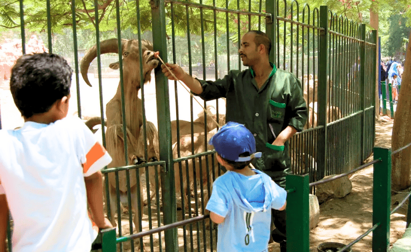Darb 1718 Opens Artist Call for Giza Zoo Collective Exhibition