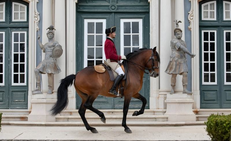 The Royal Gala Brings Europe’s Classical Riding Schools to Abu Dhabi