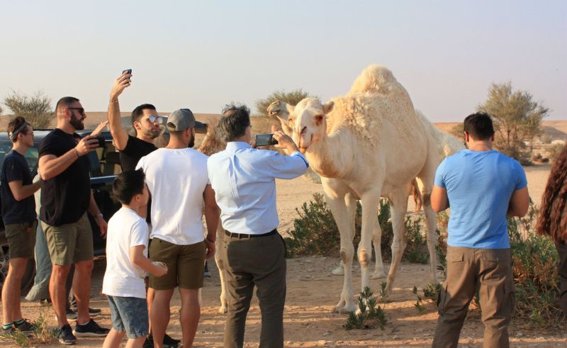  Saudi Arabia Attracts 116 Million Tourists in 2024