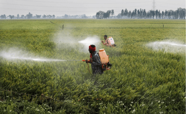 Egypt's Chemical Exports Rise 10% To USD 6.849 Billion In First 2025