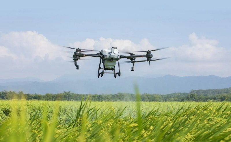 New AI-Powered Drone System to Monitor Green Spaces in Dubai 