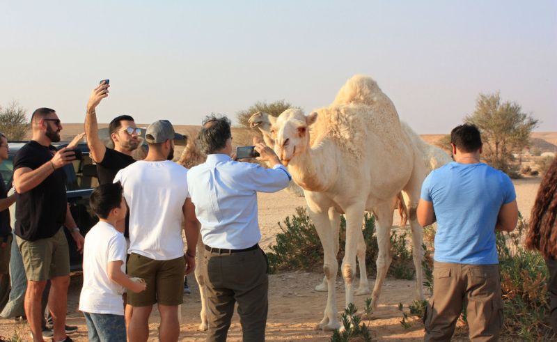  Saudi Arabia to Issue Tourist Visas in Minutes via Visa Card Link