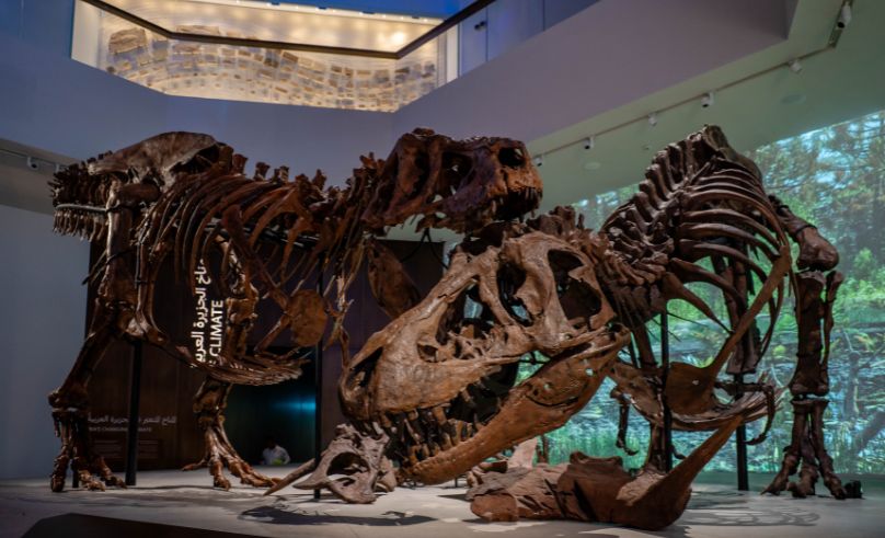The Museum of Natural History Abu Dhabi Opens With Meteors