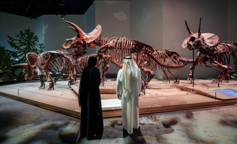 Meet the Director Bringing Abu Dhabi’s Natural History Museum to Life