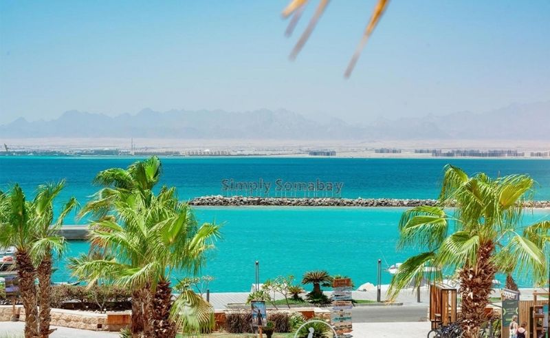 The Kaktus Somabay: A Red Sea Hotel Friends Can Actually Agree On