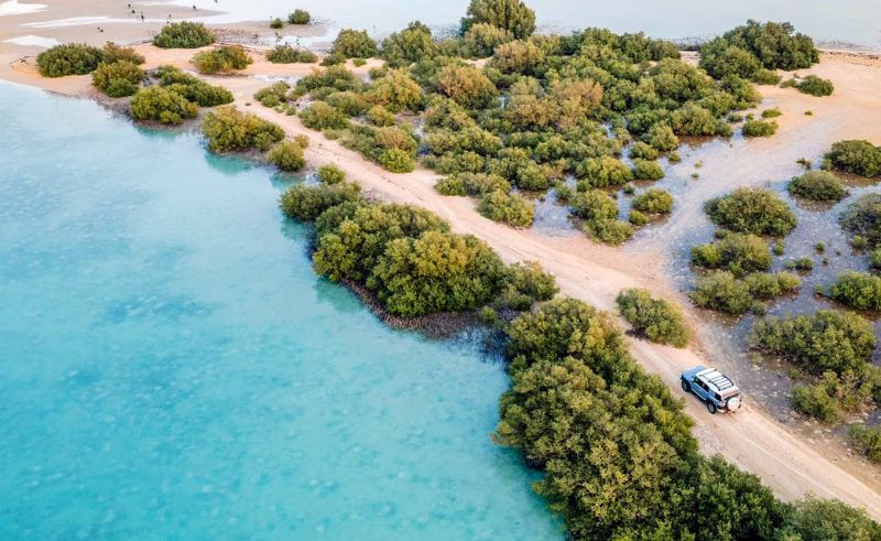 Farasan Islands Marine Sanctuary Secures Ramsar International Status