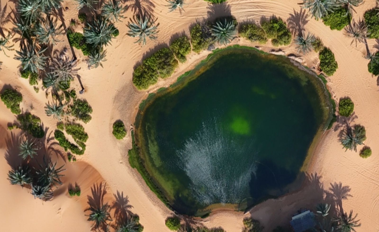 UAE’s Al Ain Named Capital of Arab Tourism in 2026