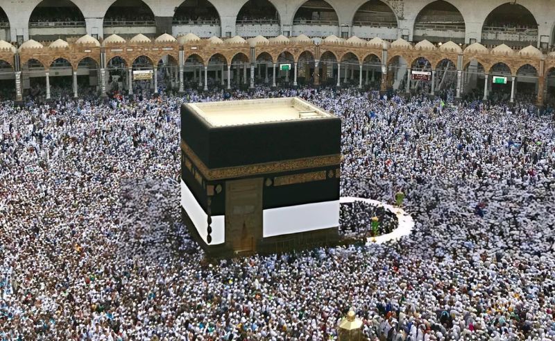 Draft Hajj Transport Rules Set Fines Up to SAR 100,000