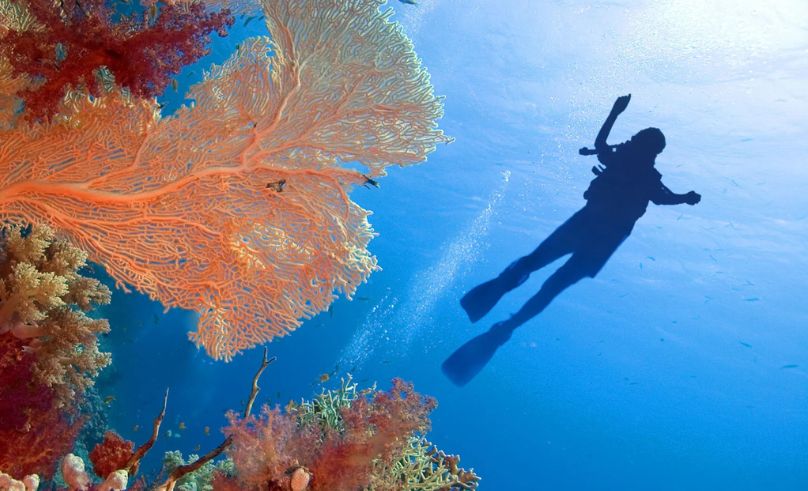 New Guidelines Launched to Enhance Saudi Red Sea Beach Experiences