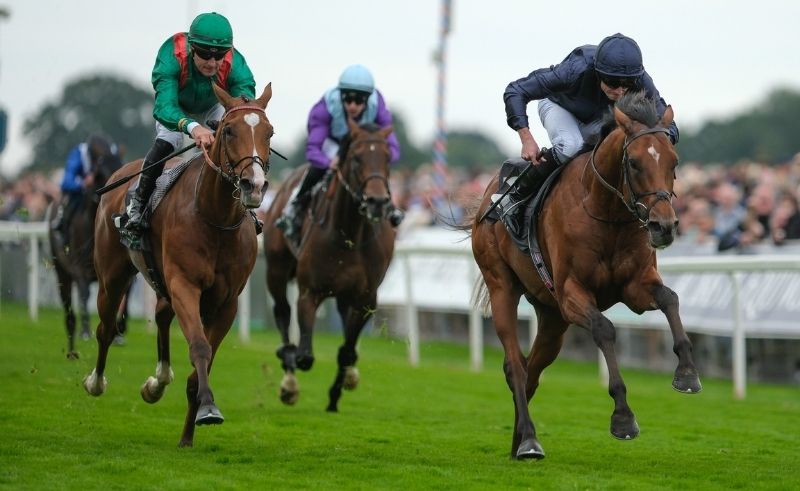 Dubai Racing Club Plans Global Equine Token Marketplace