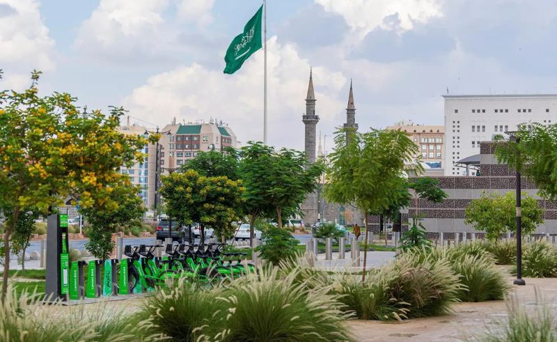 National Water Company Plants More Than 2 Million Trees in Madinah