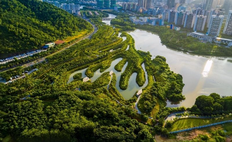 'Sponge City' Initiative Introduced in Dubai to Repurpose Rain