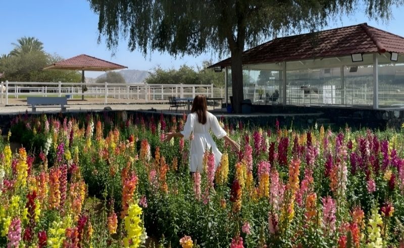 This Flower Farm Outside Abu Dhabi Lets You Trade Burnout for Bouquets