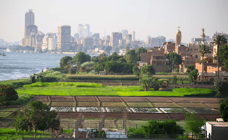 PM Orders Utility Cuts for Illegal Building on Farmland