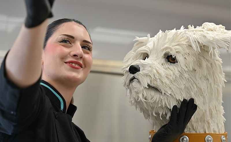 You Can Eat The Little Mermaid at This Saudi Bakery 