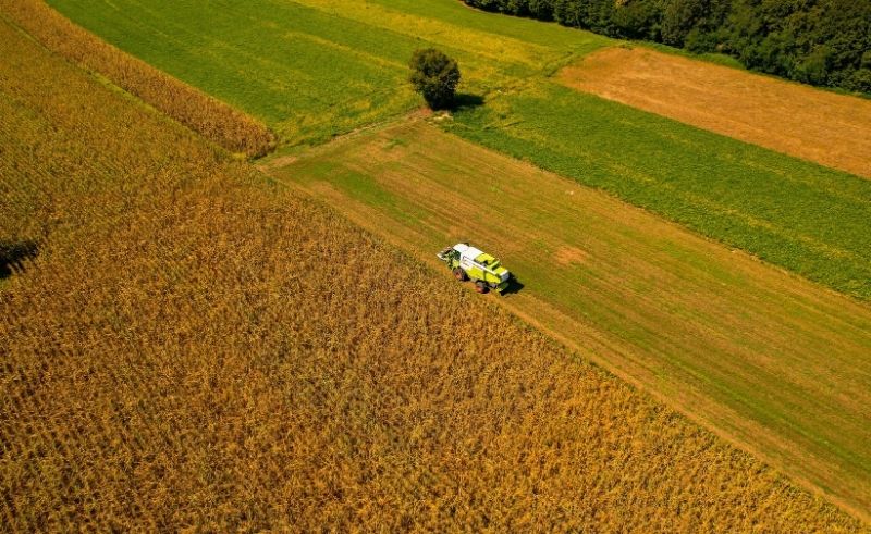 Silal Expands to Ras Al Khaimah Through National Agriculture Partnersh