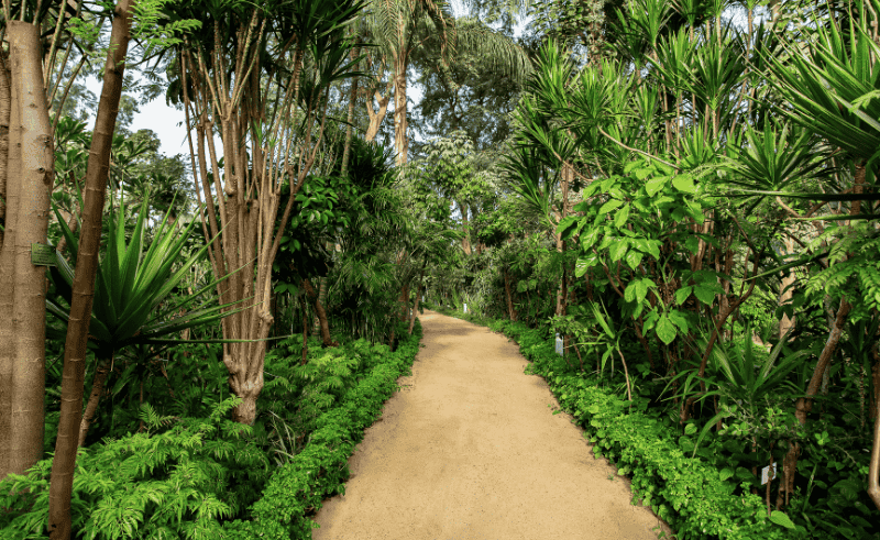 WATCH: This Public Garden Used to be Actor Ahmed Mazhar's Home 