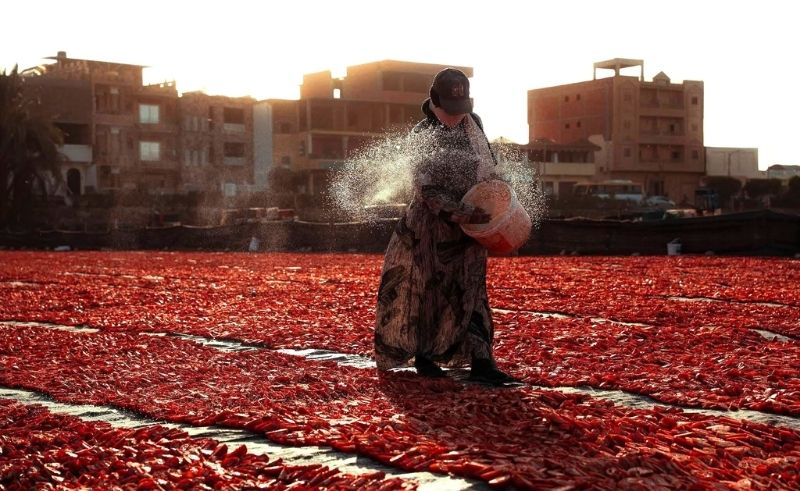 This Red Carpet in Luxor Is Actually Just a Sea of Sun‑Dried Tomatoes