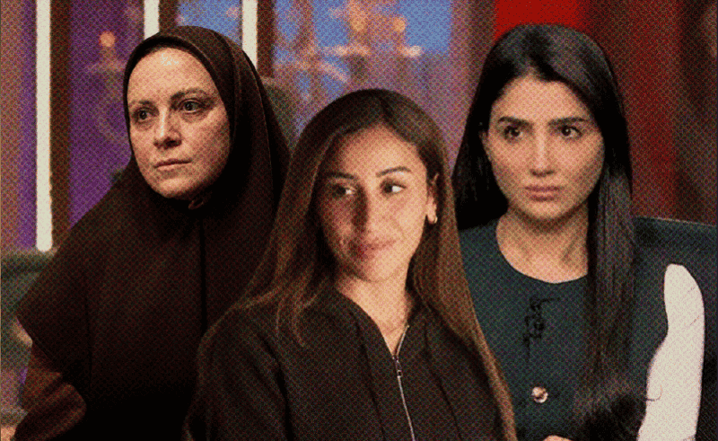 National Council for Women Dropped Report Analysing Ramadan TV Shows