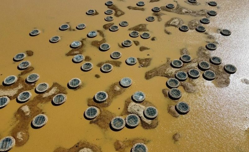 Rain Revives Historic Wells in Saudi Arabia’s Northern Borders