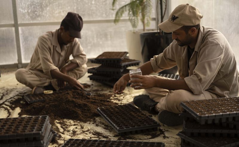 Over One Million Native Seedlings Produced for AlUla Projects