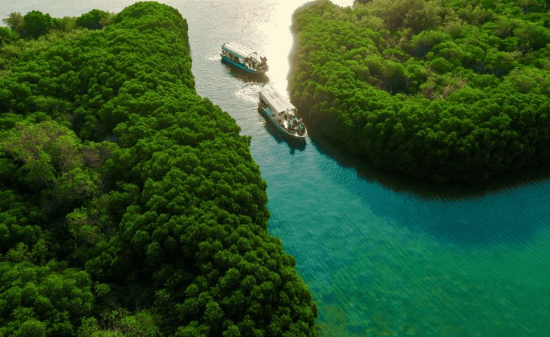 Six Saudi Nature Reserves Added to IUCN Green List