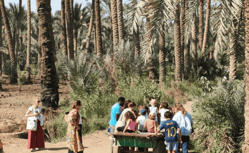 Maadi Reading Seeds Connects Children to Cairo’s Public Spaces