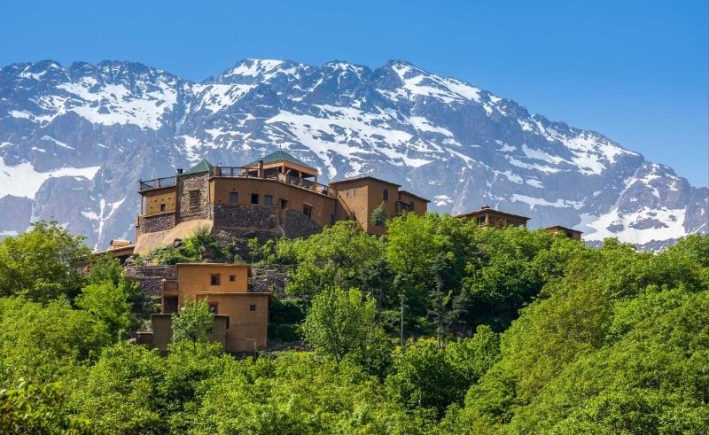 Ecolodges Across MENA for an Earth Day That Doesn't End at Midnight