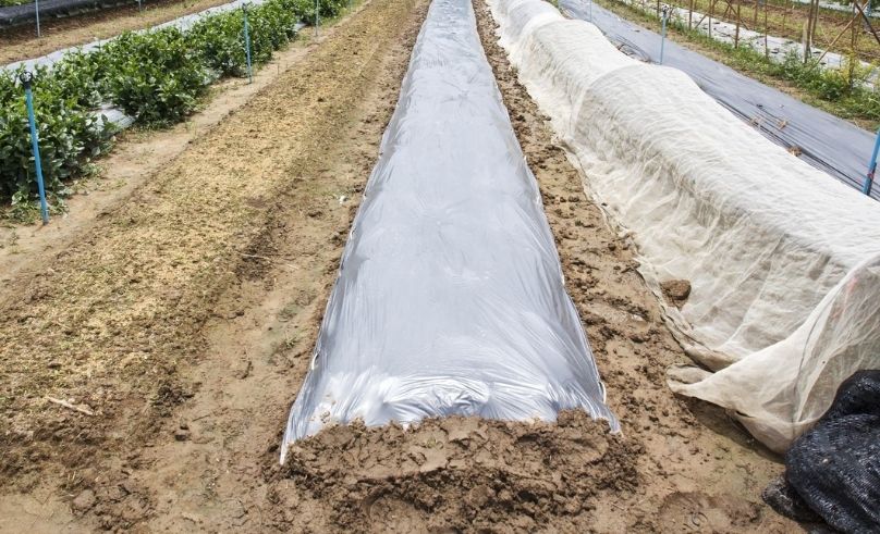 Al Ain City Municipality Launches Solar Soil Sterilisation Project