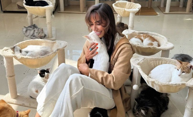 From Fitness to Felines: Dina Taji’s Mission to Save Stray Cats