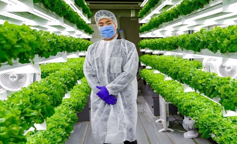 Climate-Smart Crops Initiative Launched in the UAE