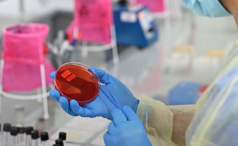 24/7 Hajj Testing Operations Activated by SFDA Laboratories