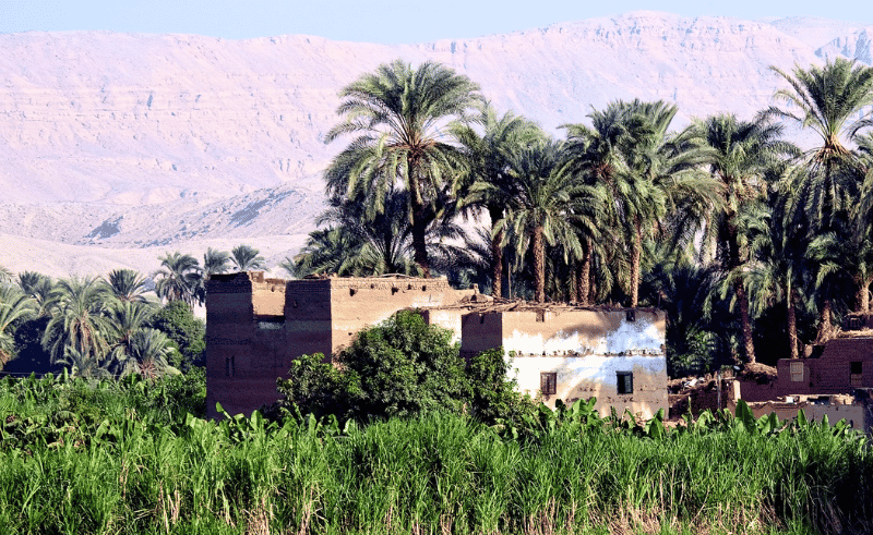‘Productive Villages’ Pilot to Bring Small Factories to Rural Egypt
