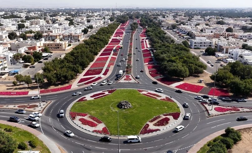 Five Million Flowers Planted Across Al Ain This Year