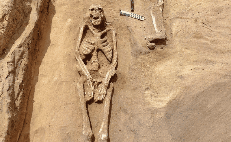 Unusual Animal Remains & Greco-Roman Tombs  Discovered in Beheira