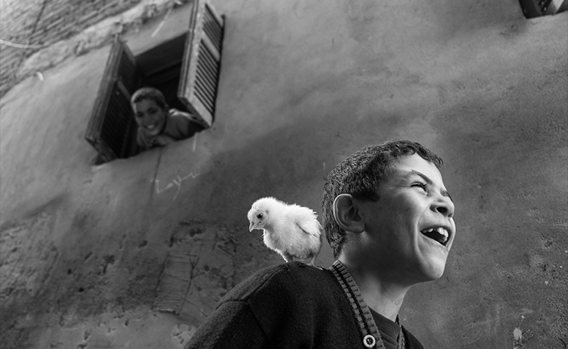 CairoScene Photo of the Week: Mohamed Mahdy