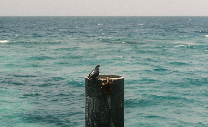 Photo of the Week: Abdullah Al Ghamdi