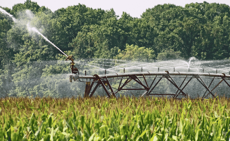 Egypt to Open Five Water Technology Schools With Italy