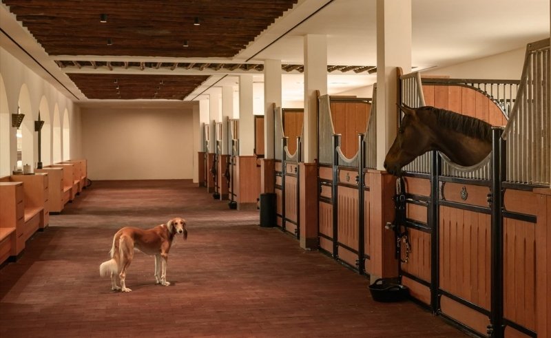 Bahrain’s First Indoor Equestrian Arena at the Royal Stables Complex