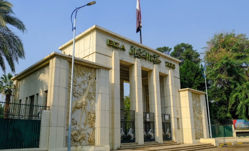 Giza Zoo Will Open Late 2026 After Three Years of Development