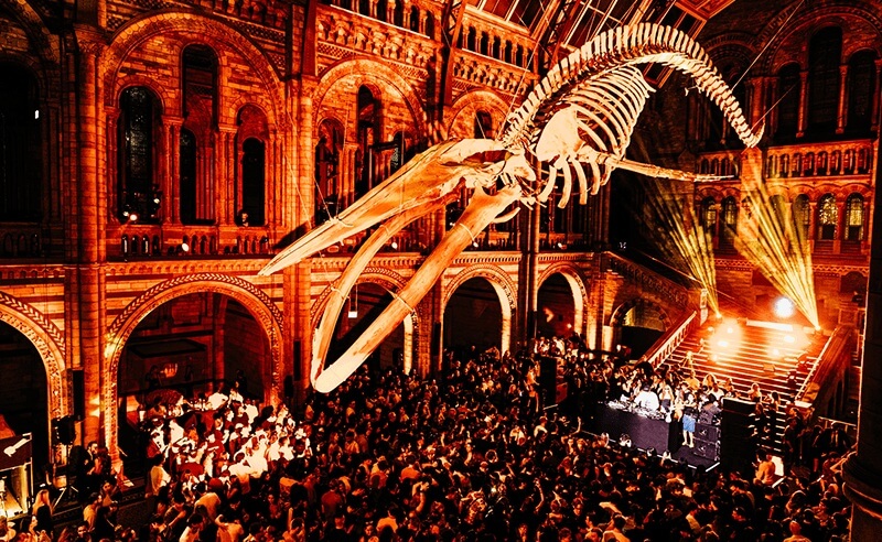 Inside MTRNM’s Unconventional House Music Universe