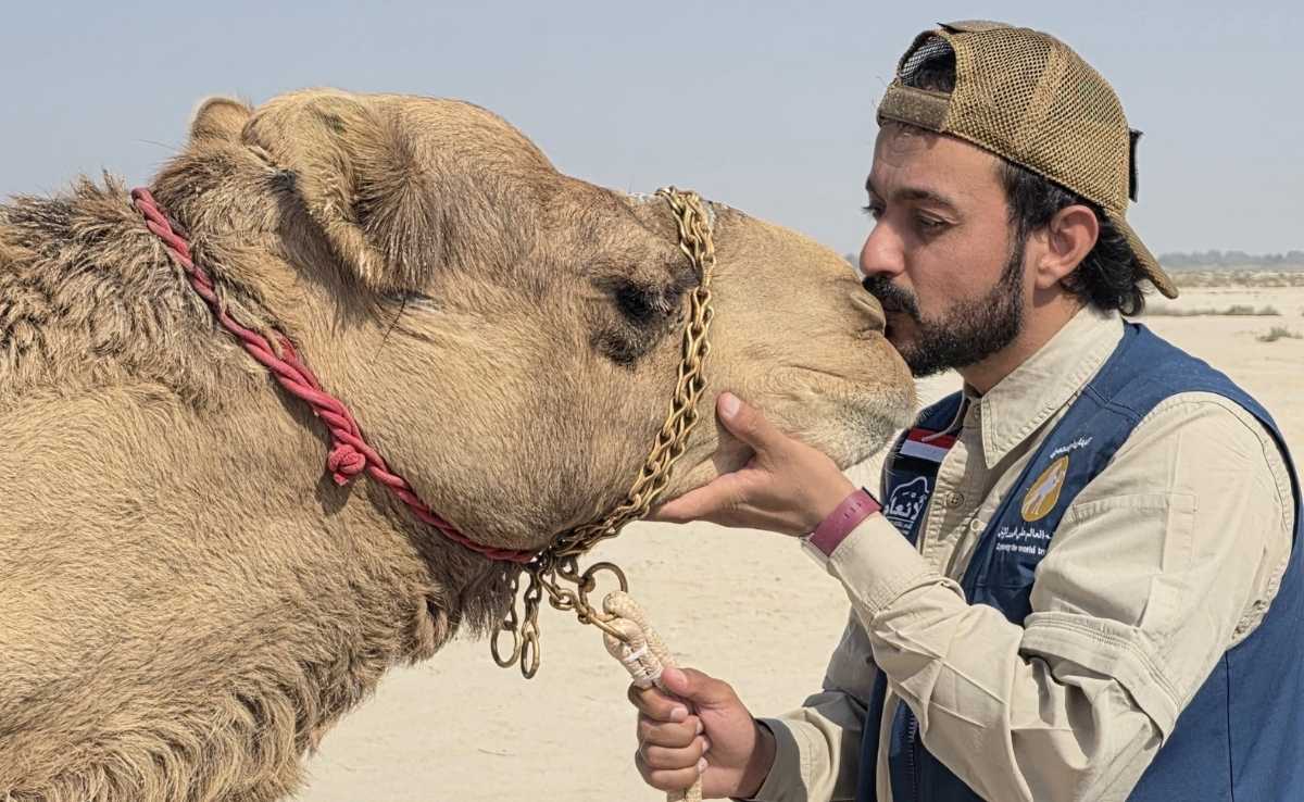 The Camel Diplomat: A Yemeni Man's Walk for Peace