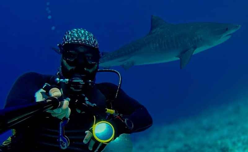 Egyptian Diver Michael Wafaa Wants You to See Sharks Differently