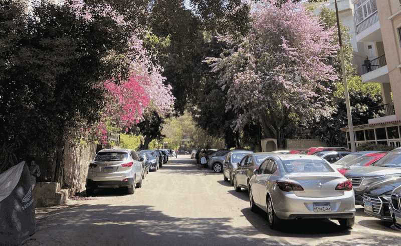 Maadi Residents Can Now Access Local Services via QR Code