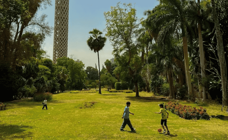 Zamalek 5K Run to Support Greener Streets & Local Heritage