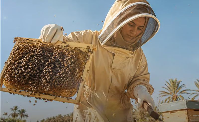 Women Farmer Field Schools to Begin Across UAE in September
