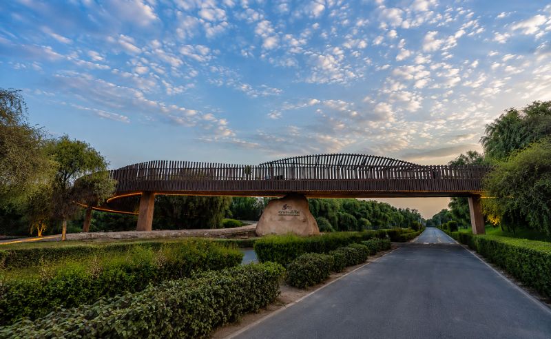 New 102-Metre Bridge Connects Mushrif National Park Trails