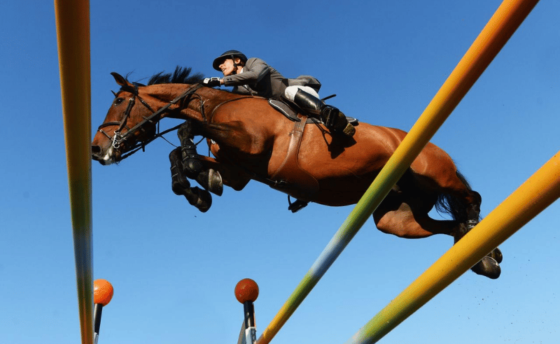 Longines Global Champions Tour Makes Cairo Debut at the Pyramids